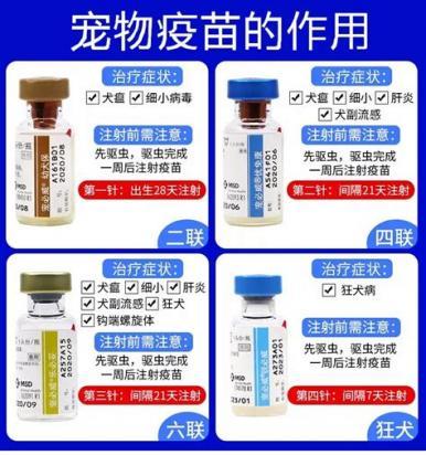 狗狗狂犬疫苗在哪里打好-1