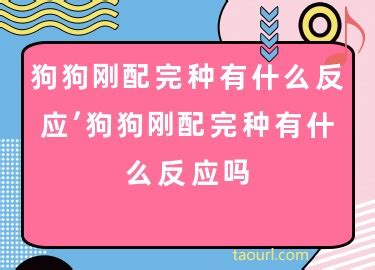狗配完都有什么反应吗-图1