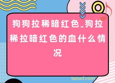 狗狗拉稀暗红色