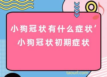 小狗冠状有什么症状表现-图1