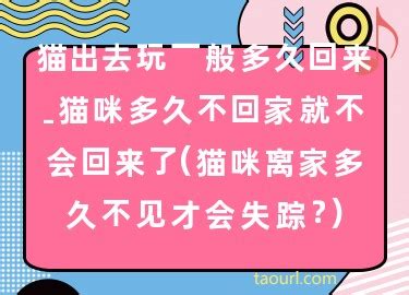 猫多久不回家就算丢了-图1