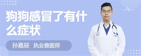 狗狗感冒了有什么症状-图1