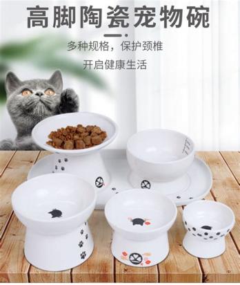 猫喝水的碗用陶瓷还是不锈钢-图1
