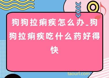 狗狗拉痢疾怎么办-图1