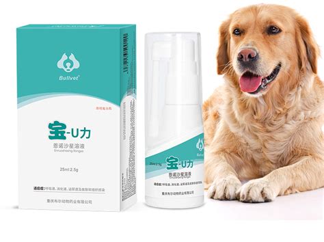 宠物狗专用消炎药有哪些-图1