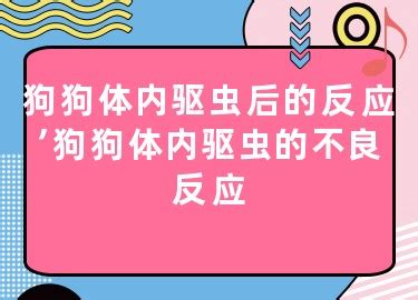 狗狗体内驱虫后的反应有哪些-图1