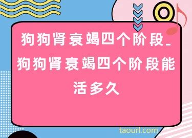 狗狗肾衰竭四个阶段-图1