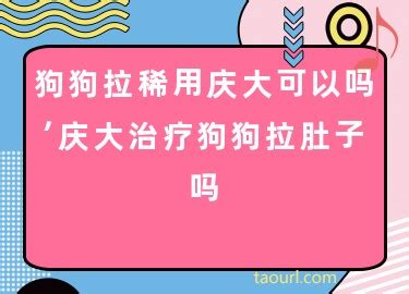 狗狗拉稀用庆大可以吗