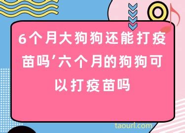 狗狗6个月了还可以打疫苗吗