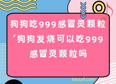 狗狗感冒可以吃999感冒灵吗