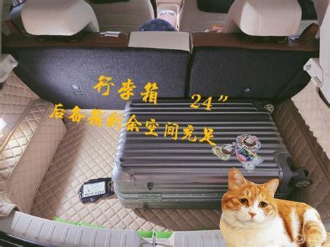 猫放后备箱2小时会死吗-图1