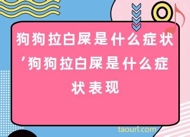 狗狗拉白屎是什么症状表现