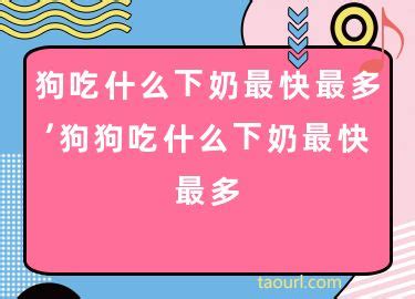 狗吃什么奶水最快最多-图1