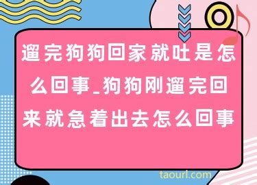 狗狗出去遛弯回来后吐了是怎么回事-图1