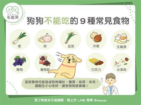 幼狗不可以吃什么食物