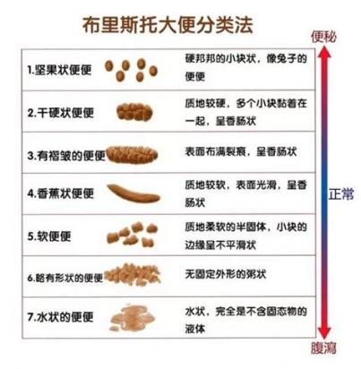 狗狗大便稀很臭正常吗