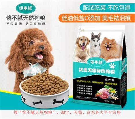 狗狗最喜欢吃的食物有哪些